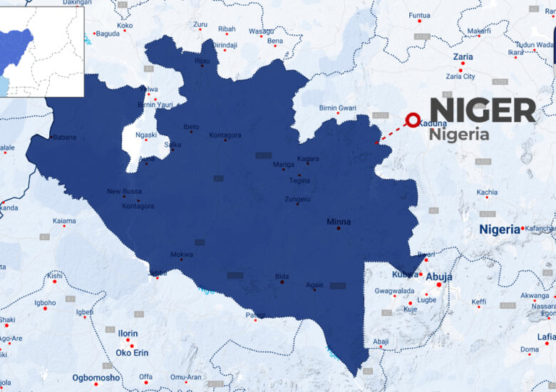 13 Dead, Over 236 Hospitalised In Niger Cholera Outbreak