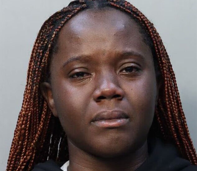 UK-Nigerian woman Alvina Agba in child snatch scandal