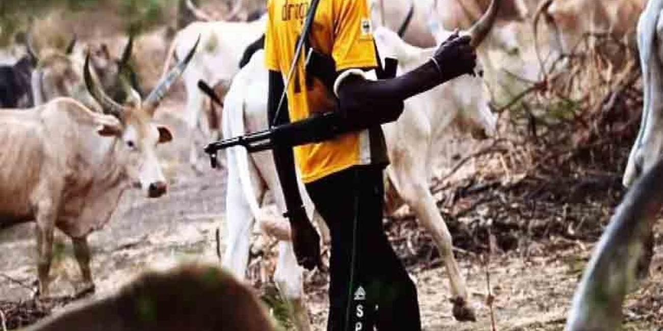 Catholic Church Cries Out Over Renewed Herdsmen Attacks In Taraba Communities As Hundreds Are Displaced