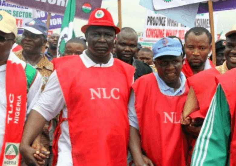 FCT Police Command Asks Organised Labour To Reconsider Protests In Abuja, Claims Shiites Could Hijack Demonstration